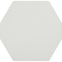 10 x 10 Toscana Blanco Porcelain matt finished Hex
