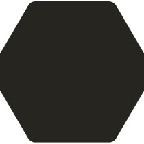 10 x 10 Toscana Negro Porcelain matt finished Hex