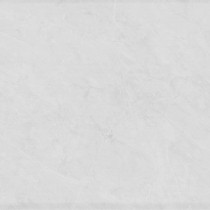24 x 48 CR. Belverede POLISHED Rectified Porcelain tile 