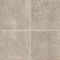 9 X 9 Palazzo Nuvola Satin Porcelain tile 