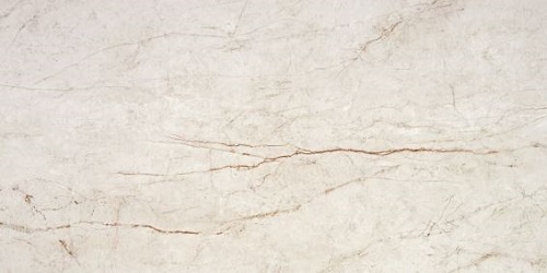24 x 48 Rain Forest White POLISHED Rectified Porcelain Tile